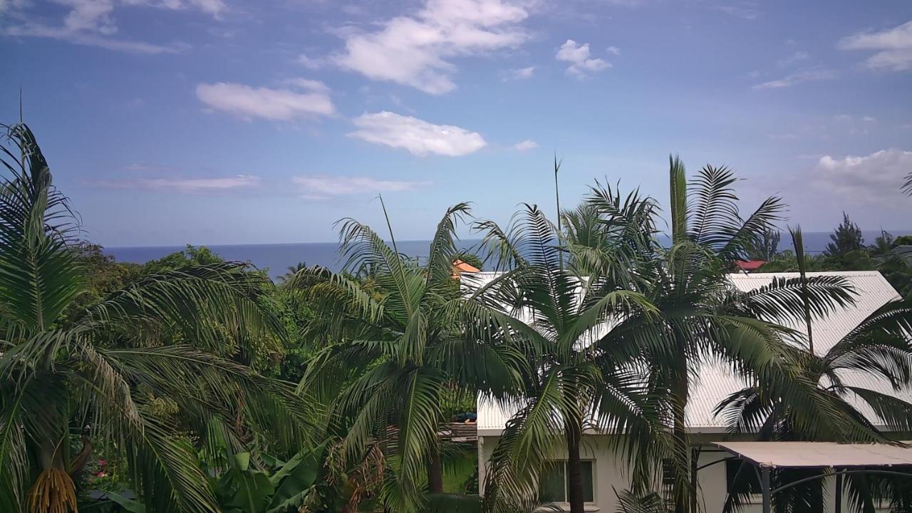 Un Petit Coin De Paradis A La Reunion Saint-Joseph Exteriör bild