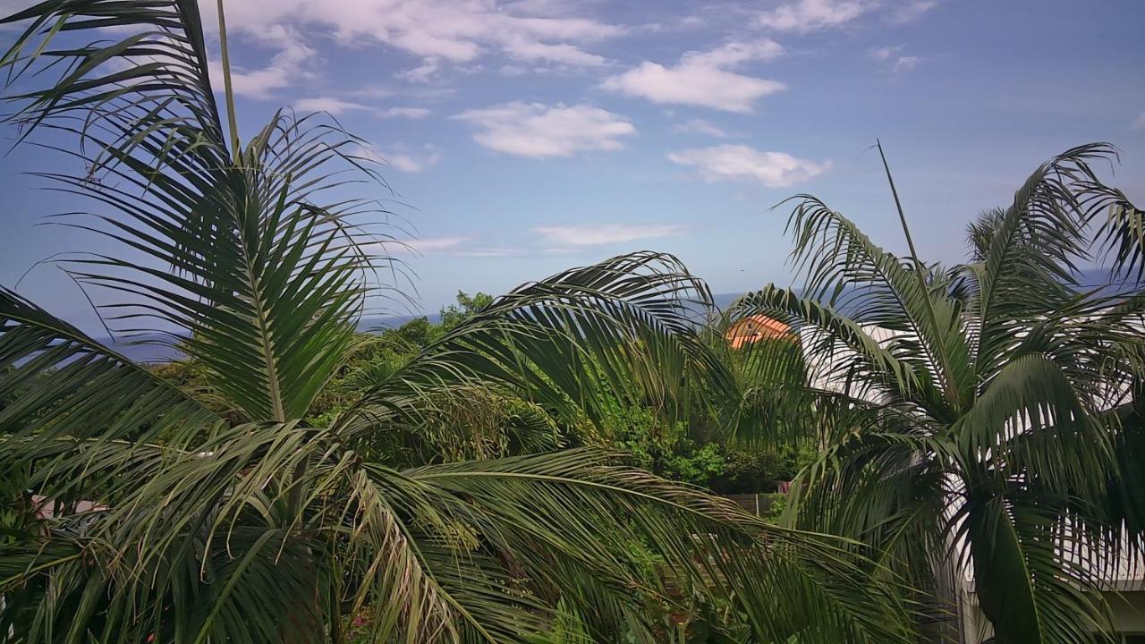 Un Petit Coin De Paradis A La Reunion Saint-Joseph Exteriör bild